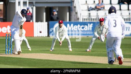 NORTHAMPTON, ENGLAND - 20 2023. April : Nick Gubbins von Hamshire 1. Tag des LV= Insurance County Championship-Spiels zwischen Northamptonshire und Hampshire im County Ground in Northampton, England. Stockfoto