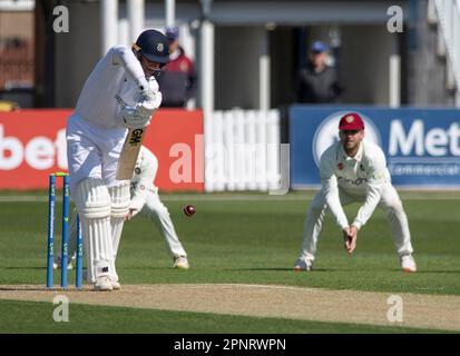 NORTHAMPTON, ENGLAND - 20 2023. April : Nick Gubbins von Hamshire 1. Tag des LV= Insurance County Championship-Spiels zwischen Northamptonshire und Hampshire im County Ground in Northampton, England. Stockfoto