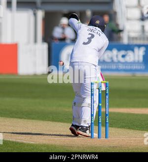 NORTHAMPTON, ENGLAND - April 20 2023 : Felix Organ of Hampshire Fledermäuse an Tag 1 des LV= Insurance County Championship Match zwischen Northamptonshire und Hampshire auf dem County Ground in Northampton, England. Stockfoto