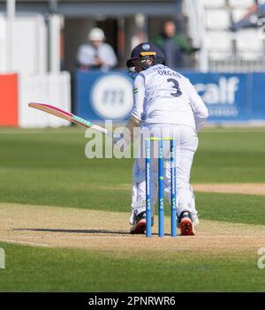 NORTHAMPTON, ENGLAND - April 20 2023 : Felix Organ of Hampshire Fledermäuse an Tag 1 des LV= Insurance County Championship Match zwischen Northamptonshire und Hampshire auf dem County Ground in Northampton, England. Stockfoto