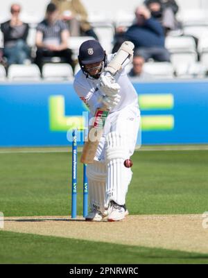 NORTHAMPTON, ENGLAND - April 20 2023 : Felix Organ of Hamshire Tag 1 des LV= Insurance County Championship Match zwischen Northamptonshire und Hampshire im County Ground in Northampton, England. Stockfoto