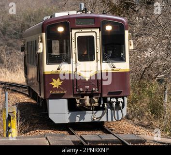 Ein Einzelzug der Watarase Keikoku Railway am Bahnhof Konaka in der Präfektur Gunma, Japan. Stockfoto