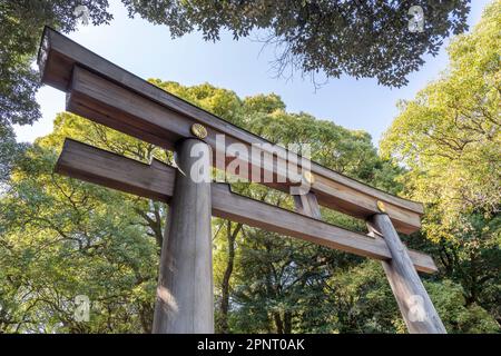 Ein großes hölzernes Torii-Tor am Meiji-Schrein (oder Meiji Jingu) in Tokio, Japan. Stockfoto