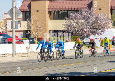 Victorville, Kalifornien, USA – 26. März 2023: Gruppe von Männern an einem Radrennen von Majestic Cycling in Victorville, Kalifornien. Stockfoto