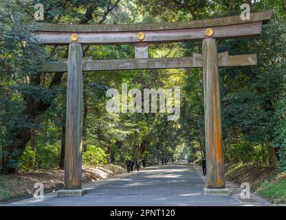 Ein großes hölzernes Torii-Tor am Nordeingang zum Meiji-Schrein (oder Meiji Jingu) in Tokio, Japan. Stockfoto