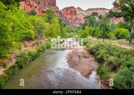 Virgin River im Zion-Nationalpark, Utah, USA. Stockfoto