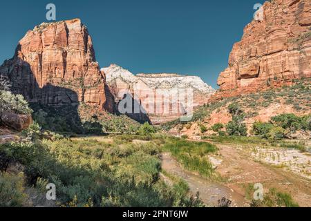 North Fork Virgin River im Zion-Nationalpark, Utah, USA. Stockfoto