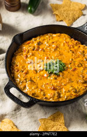 Hausgemachter, geräucherter Queso Dip mit Tortilla Chips Stockfoto