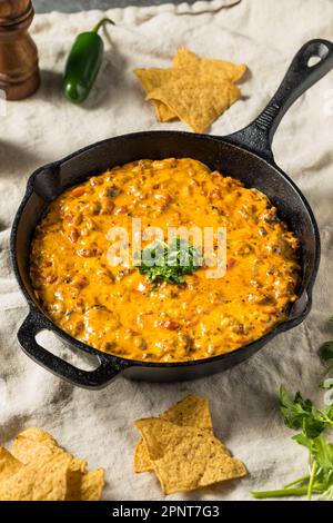 Hausgemachter, geräucherter Queso Dip mit Tortilla Chips Stockfoto