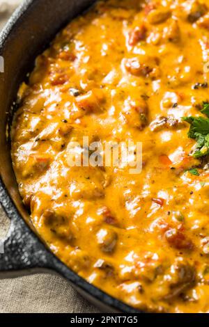 Hausgemachter, geräucherter Queso Dip mit Tortilla Chips Stockfoto