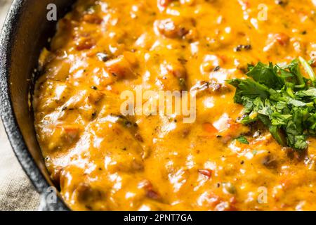 Hausgemachter, geräucherter Queso Dip mit Tortilla Chips Stockfoto