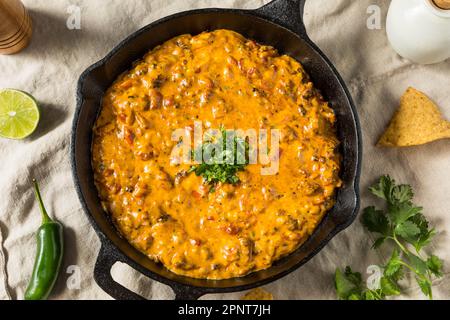 Hausgemachter, geräucherter Queso Dip mit Tortilla Chips Stockfoto