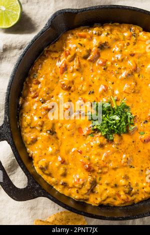 Hausgemachter, geräucherter Queso Dip mit Tortilla Chips Stockfoto