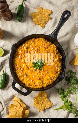 Hausgemachter, geräucherter Queso Dip mit Tortilla Chips Stockfoto