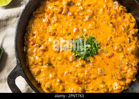 Hausgemachter, geräucherter Queso Dip mit Tortilla Chips Stockfoto