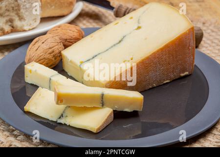 Käsesammlung, halbweicher Kuhmilchkäse von French Morbier mit schwarzer Schimmelschicht Stockfoto