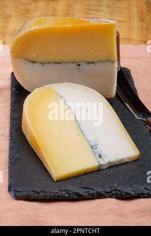 Farbenfroher doppelter holländischer Käse, Hartkäse aus Kuhmilch und Ziegenmilch mit schwarzer Schimmelschicht im Inneren, Nahaufnahme Stockfoto