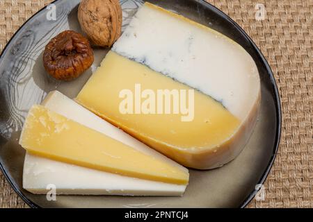 Farbenfroher doppelter holländischer Käse, Hartkäse aus Kuhmilch und Ziegenmilch mit schwarzer Schimmelschicht im Inneren, Nahaufnahme Stockfoto