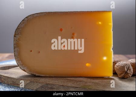 Käsesammlung, belgischer alter gelber Kuhmilchkäse aus Brügge, Käse und Bier Stockfoto