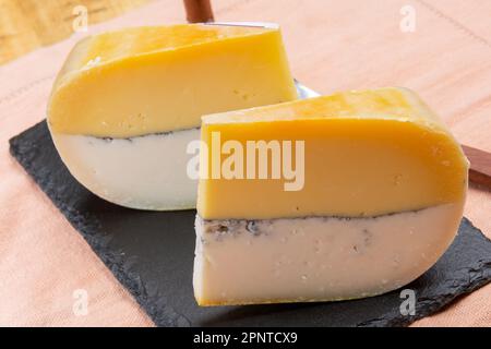 Farbenfroher doppelter holländischer Käse, Hartkäse aus Kuhmilch und Ziegenmilch mit schwarzer Schimmelschicht im Inneren, Nahaufnahme Stockfoto