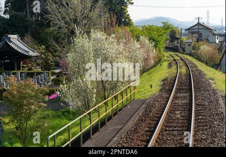 Blühende Bäume und ein buddhistischer Tempel entlang der Tenryu Hamanako Line in Hamamatsu, Präfektur Shizuoka, Japan. Stockfoto