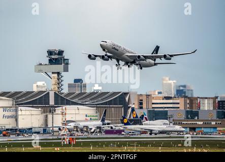 Lufthansa Airbus A340, Start auf der Centre Runway, Skyline der Frankfurter Innenstadt, Frankfurt am Main Airport, FRA, Hessen, Deutschland, Stockfoto