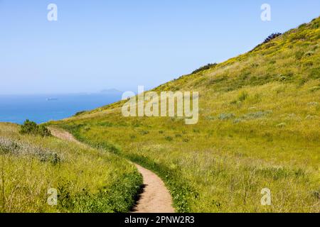 Der Chumash Trail in den Santa Monica Mountains am Point Mugu im Frühling, Kalifornien, USA Stockfoto