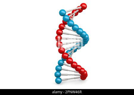 DNA-Modell mit blauen und roten Elementen, 3D-Rendering Stockfoto