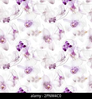 Orchid - nahtlose Blumen in Aquarellfarben - perfekt für Verpackungen, Tapeten, Hochzeitseinladungen, romantische Veranstaltungen. Stockfoto