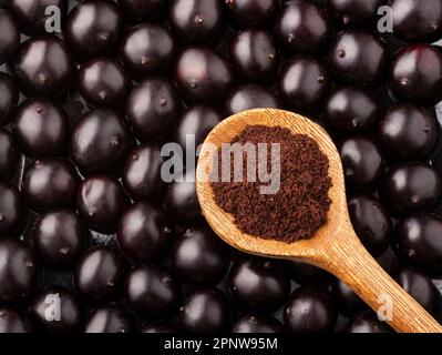 Acai-Beere Pulver in Löffel - Euterpe oleracea Stockfoto