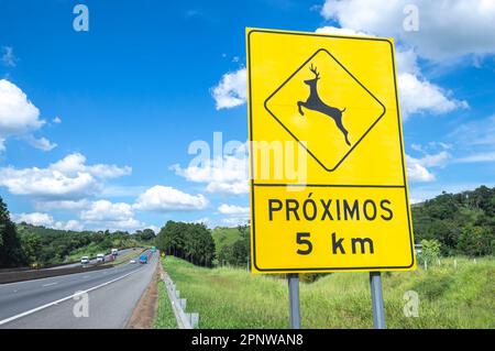 Itatiba-sp,brasilien-April 19,2023 Schild mit Hinweis auf die Gefahr, dass Tiere auf der Autobahn vorbeifahren. Stockfoto