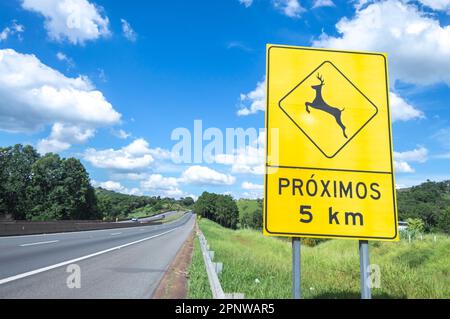 Itatiba-sp,brasilien-April 19,2023 Schild mit Hinweis auf die Gefahr, dass Tiere auf der Autobahn vorbeifahren. Stockfoto