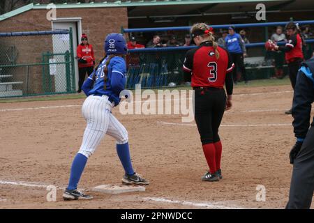 SLU Softball gegen Bradley (Braves) und Northern Illinois (Huskies) Stockfoto