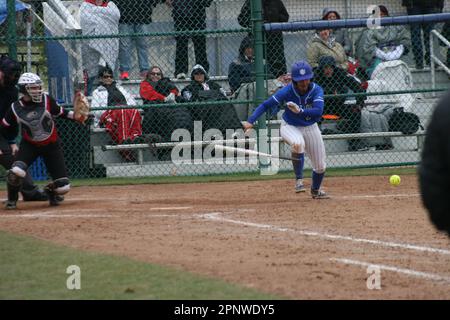 SLU Softball vs. Northern Illinois (Huskies) & Bradley (Braves) at St. Louis Universität. Stockfoto