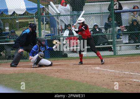 SLU Softball vs. Northern Illinois (Huskies) & Bradley (Braves) at St. Louis Universität. Stockfoto