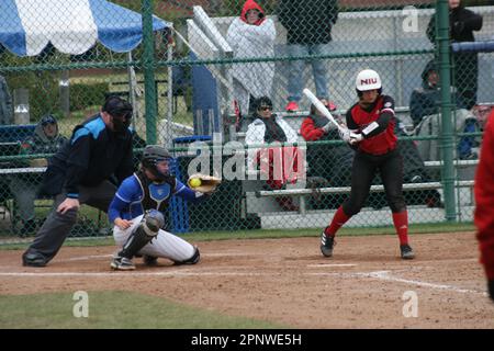 SLU Softball vs. Northern Illinois (Huskies) & Bradley (Braves) at St. Louis Universität. Stockfoto