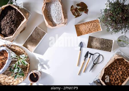 Tisch mit Füllmaterial für Hauspflanzentransplantationen in Kartons und Papiertüten Gartenbau Hobbyansicht Stockfoto