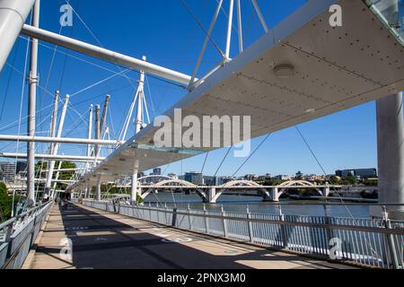 Die Kurilpa-Brücke ist eine 470 Meter lange Fußgänger- und Fahrradbrücke über den Brisbane River, die im Oktober 2009 eröffnet wurde. Es ist die größte Hybridform der Welt Stockfoto