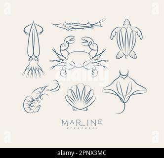 Filigrane Meereskreaturen Kalmare, Fische, Krabben, Schildkröten, Garnelen, stachelrochen, Muscheln, Muscheln auf grauem Hintergrund Stock Vektor