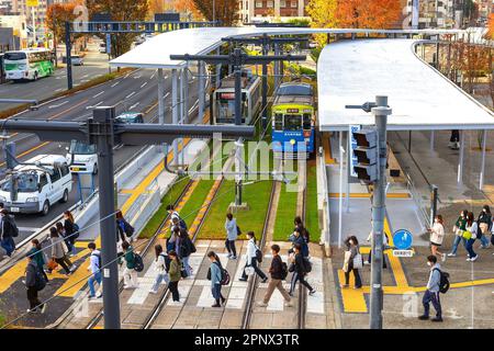 Kumamoto, Japan - Nov. 24 2022: Die Kumamoto City Tram ist eine bequeme öffentliche Verkehrsmittel, um in Kumamoto zu reisen Stockfoto