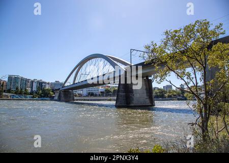 Die Merivale Bridge ist eine zweigleisige Eisenbahnbrücke über den Brisbane River, die im November 1978 eröffnet wurde. Stockfoto