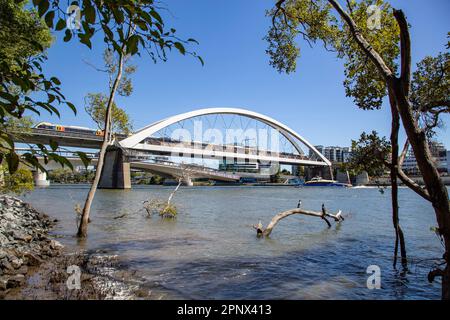 Die Merivale Bridge ist eine zweigleisige Eisenbahnbrücke über den Brisbane River, die im November 1978 eröffnet wurde. Stockfoto