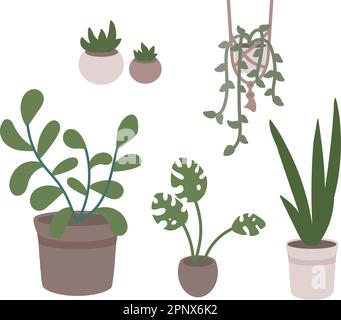 Vektordarstellung in flacher Form. Eine Vielzahl von Zimmerpflanzen Sukkulenten, sansevieria, Monstera. Grüntopf und Blumentöpfe. Ein kleines Gewächshaus, Wintergarten. Stock Vektor