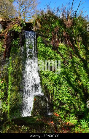 Wasserfall, Mühlenteich, Hardcastle Crags Stockfoto