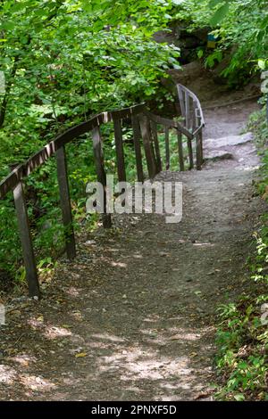 Langer Pfad mit Schottertreppen und Holzgeländer für Touristen in sonnigen Sommerwäldern. Leerer Wanderweg im Naturschutzgebiet Stockfoto