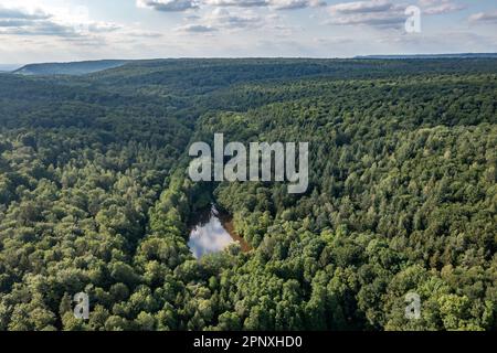 Luftaufnahme eines grossen Milchwaldes in bayern Stockfoto