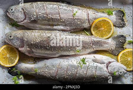 Frische Regenbogenforellen mit Salz, Zitrone und Kräutern. Leckere Fische bereiten sich auf das Mittagessen vor. Stockfoto