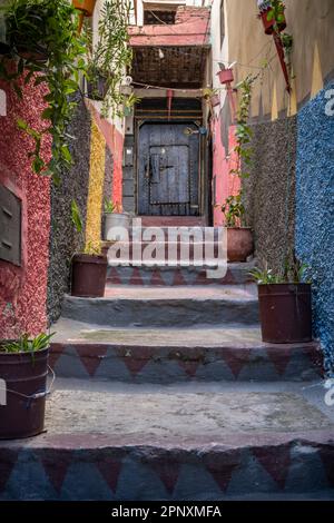 Pflanzen auf der Treppe einer Straße in Mulay Idris. Stockfoto