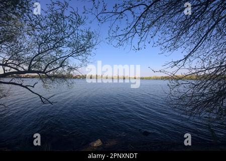 Bäume am Seeufer bei Sonnenuntergang, die einen Industriekomplex an der gegenüberliegenden Küste in der Ferne umrahmen Stockfoto