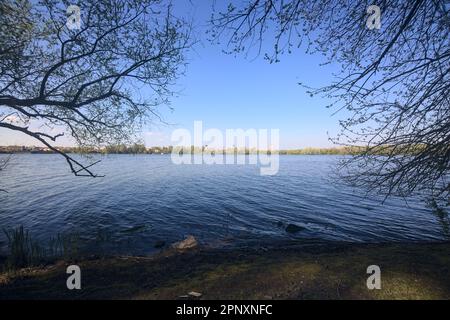 Bäume am Seeufer bei Sonnenuntergang, die einen Industriekomplex an der gegenüberliegenden Küste in der Ferne umrahmen Stockfoto